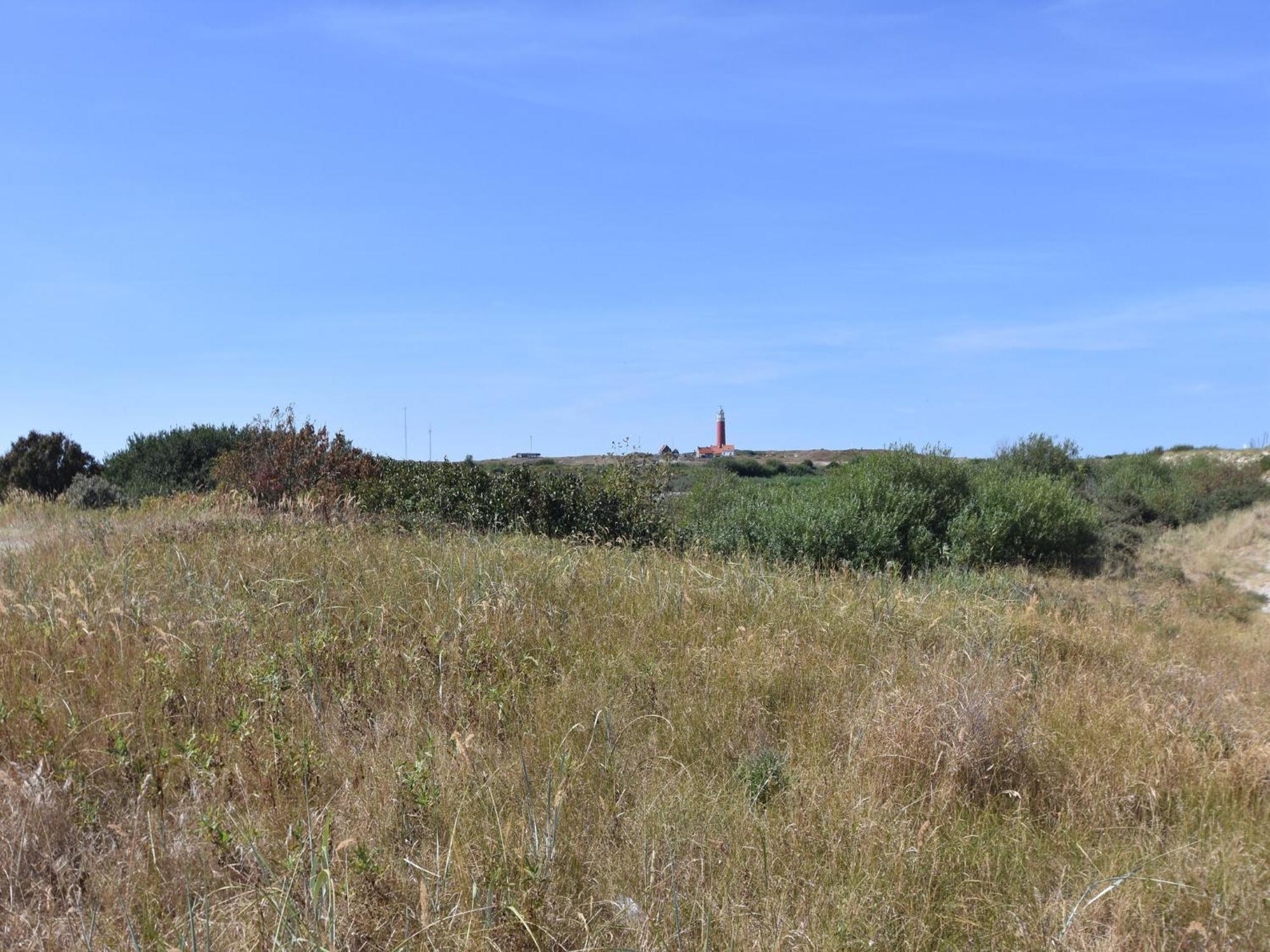Great Holiday Home Energy Neutral On Texel With Sauna And Sun Shower Westermient Exterior foto